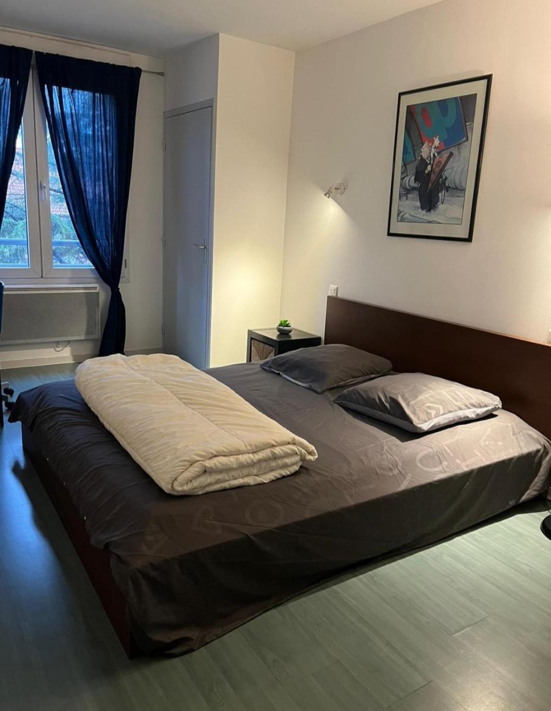 115 Rue Vauban Διαμέρισμα Λυών Εξωτερικό φωτογραφία